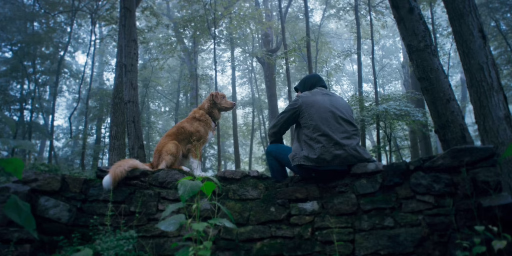 فیلم Good Boy